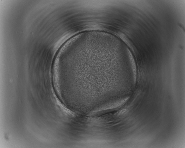 X0000101480951200807211356