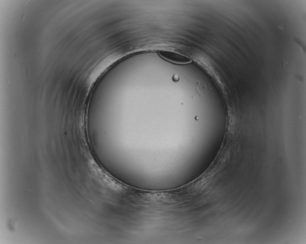 X0000101480952200807211356