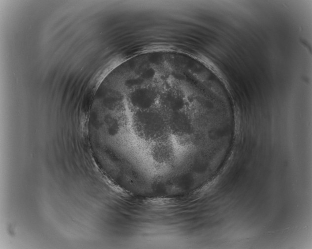 X0000101480953200807211356