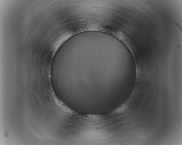 X0000101480954200807211356