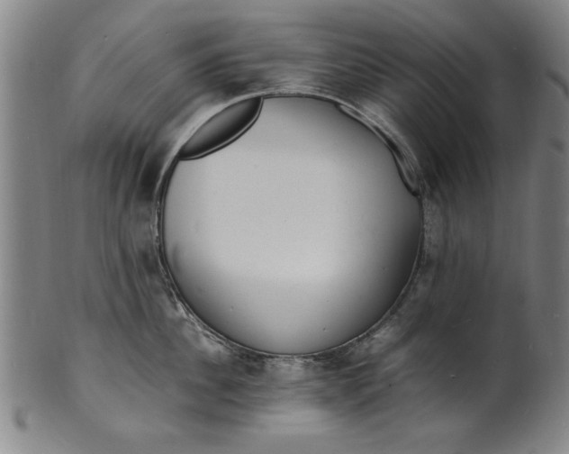 X0000101480956200807211356