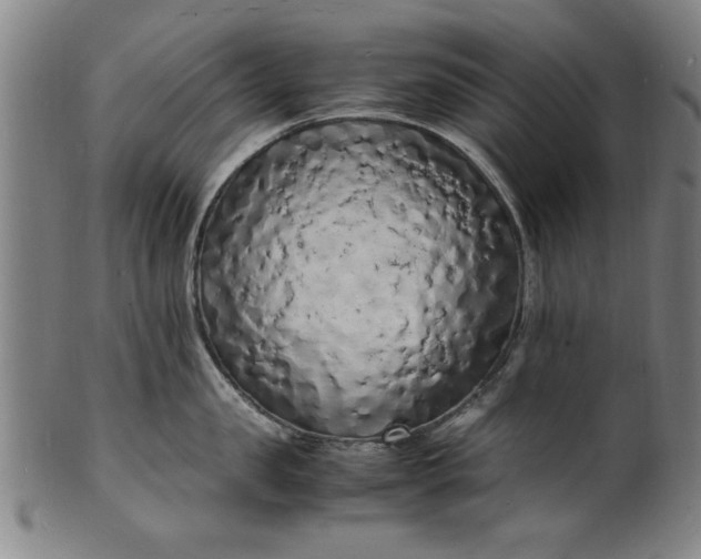 X0000101480957200807211356