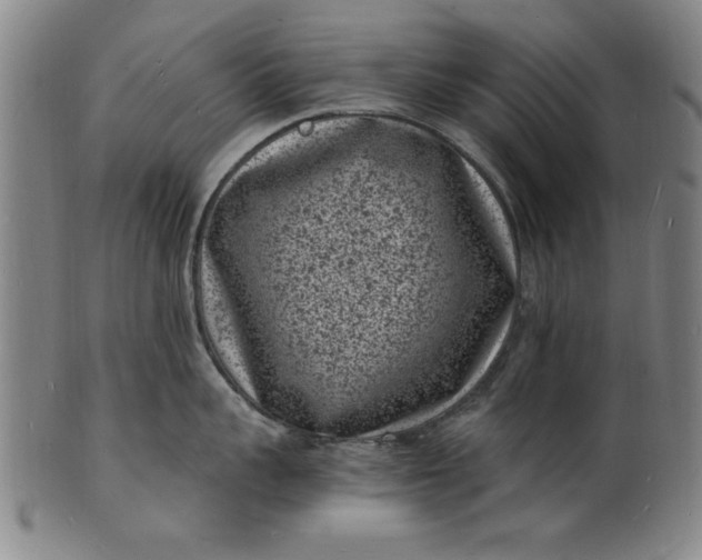 X0000101480959200807211356