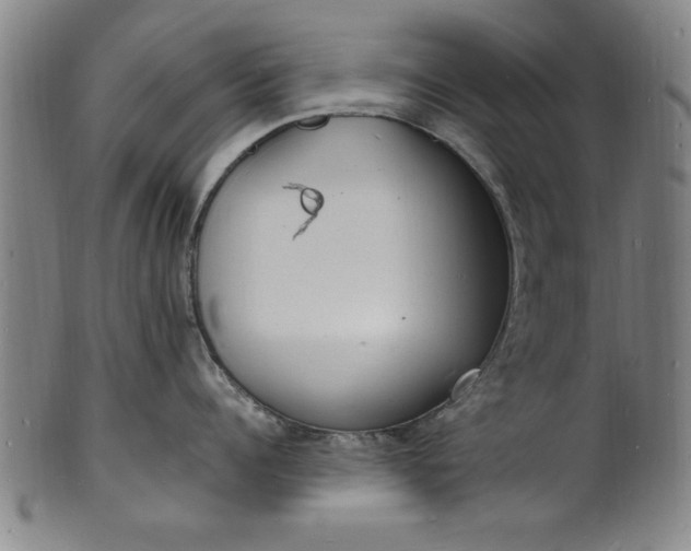 X0000101480960200807211356