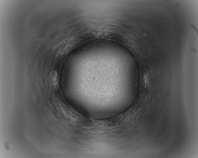 X0000101480963200807211355