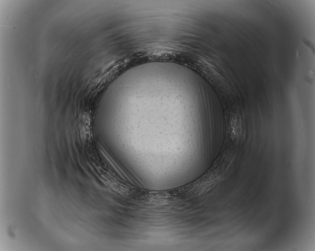 X0000101480964200807211355