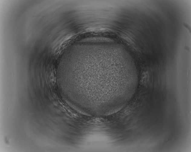 X0000101480966200807211355