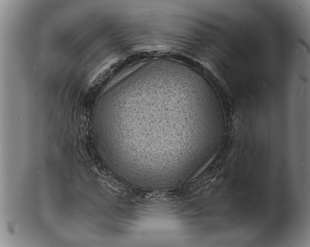 X0000101480967200807211355