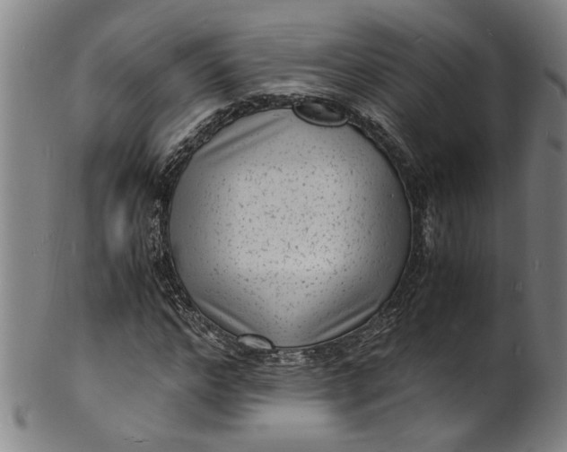 X0000101480968200807211355