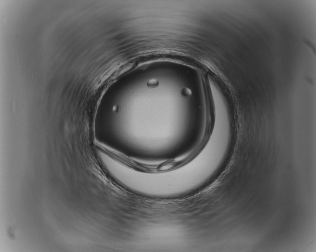 X0000101480969200807211355