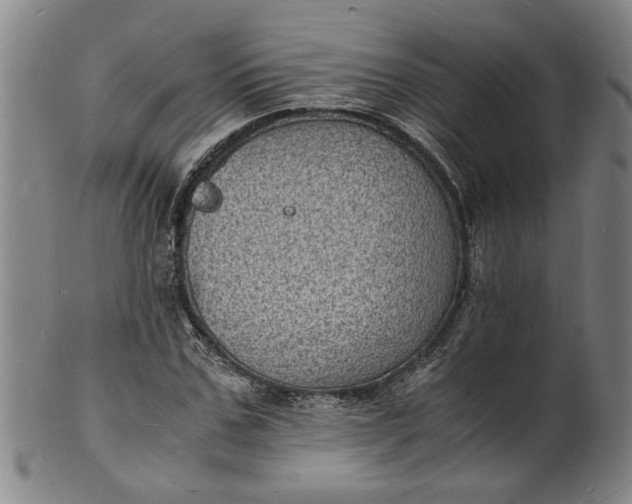 X0000101480971200807211355