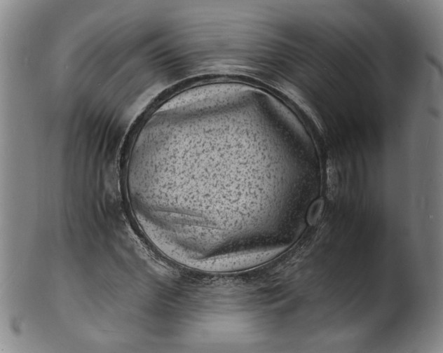 X0000101480972200807211355