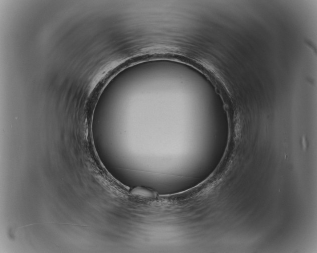 X0000101480973200807211355