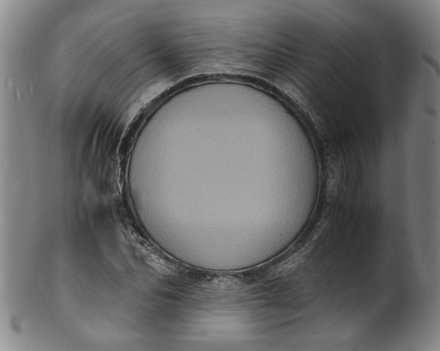 X0000101480974200807211355