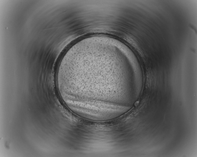 X0000101480976200807211355