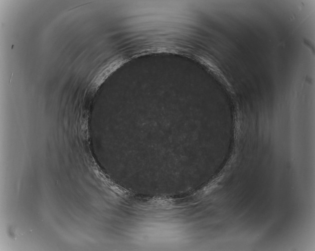 X0000101480977200807211355