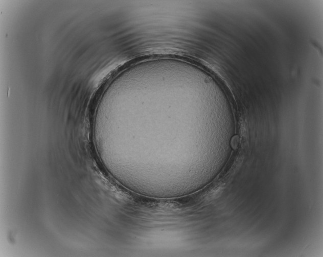 X0000101480979200807211355