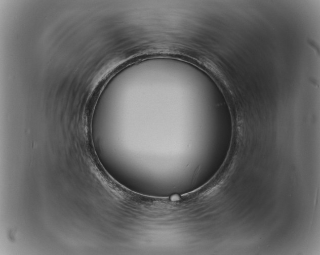 X0000101480981200807211355