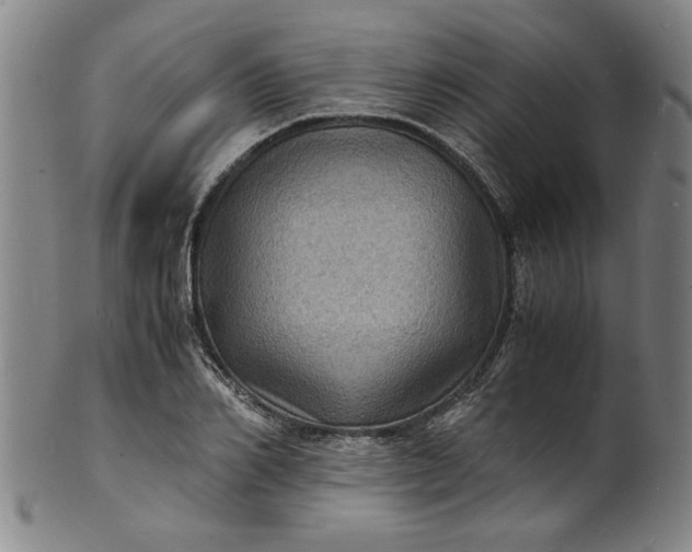 X0000101480982200807211355