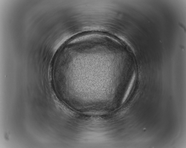 X0000101480983200807211355