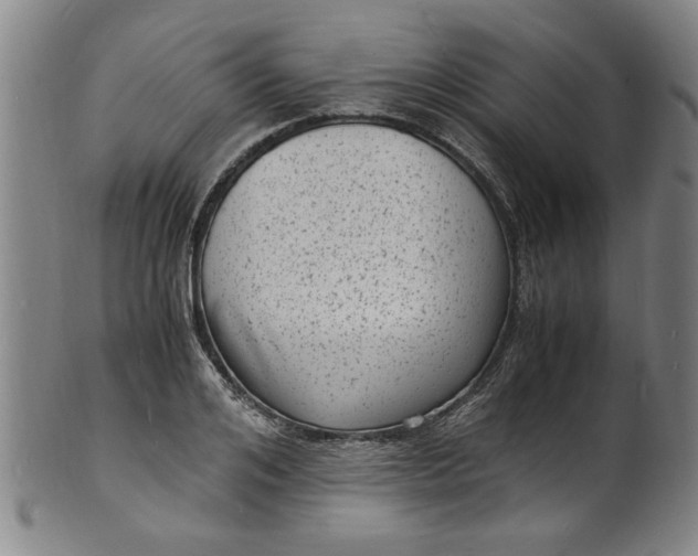 X0000101480984200807211355