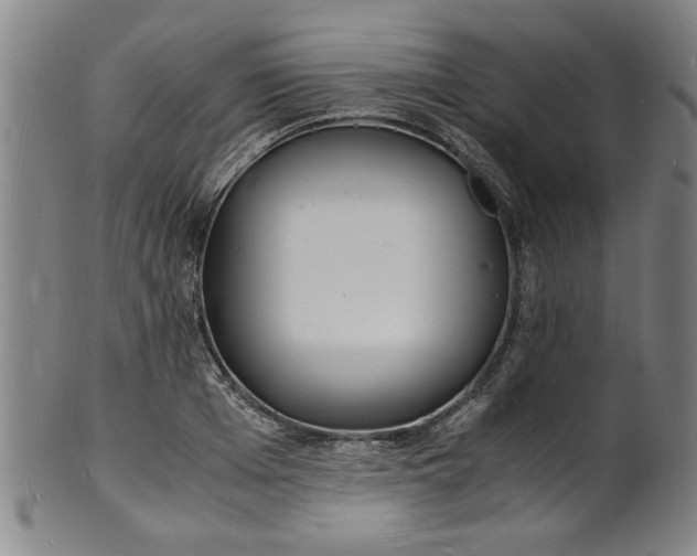 X0000101480985200807211355