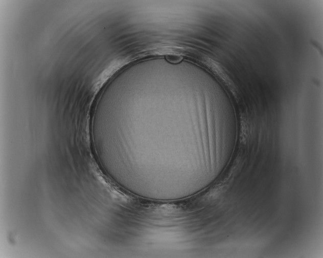 X0000101480986200807211355