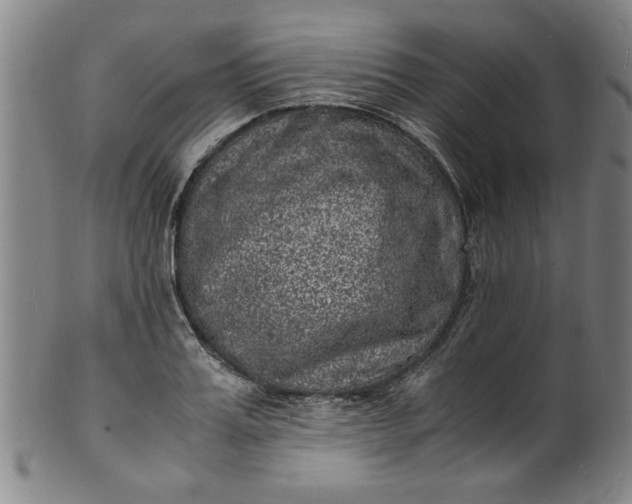 X0000101480987200807211355