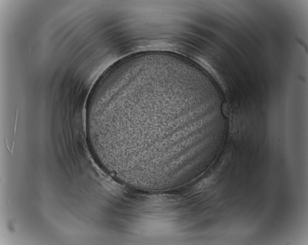 X0000101480988200807211355