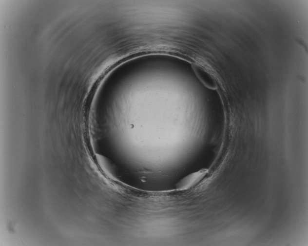 X0000101480989200807211355