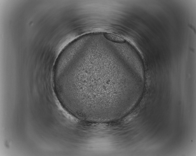 X0000101480991200807211355