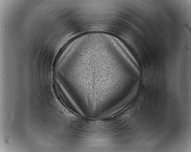 X0000101480992200807211355