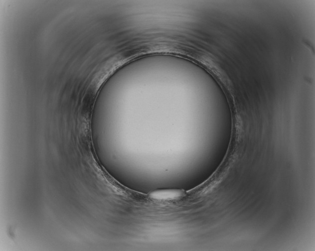 X0000101480993200807211355