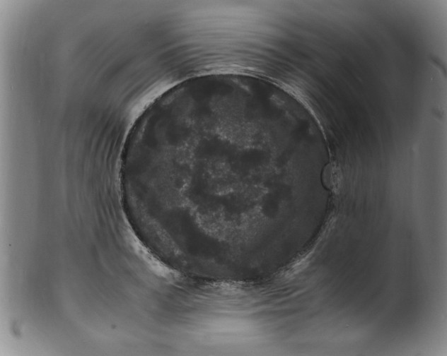 X0000101480995200807211355