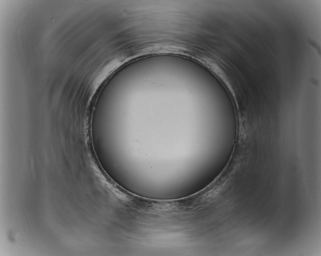 X0000101480997200807211355