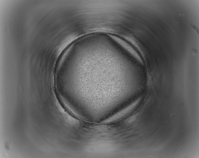 X0000101480999200807211355