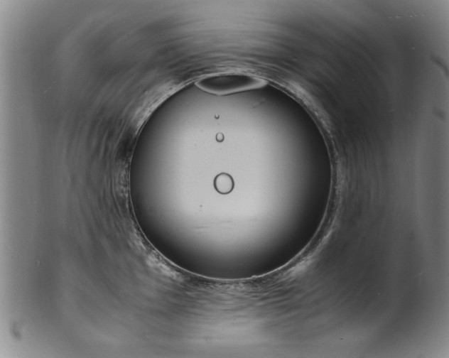 X0000101481001200807211355