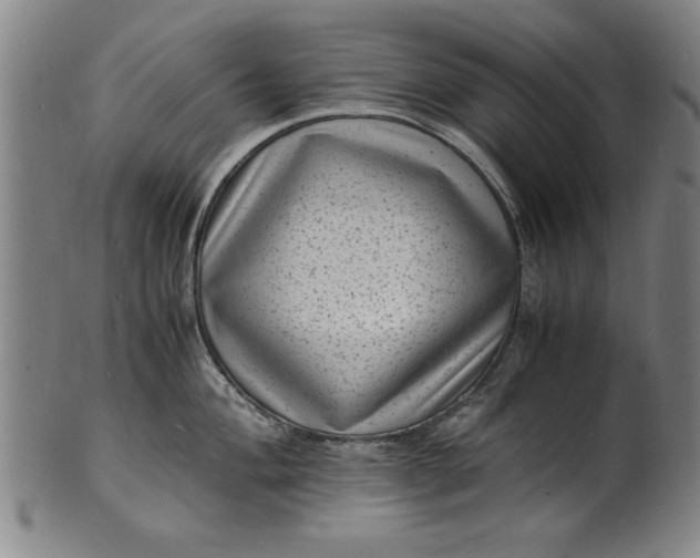 X0000101481004200807211355