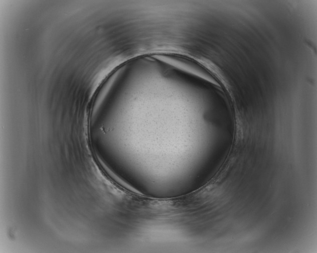 X0000101481006200807211355