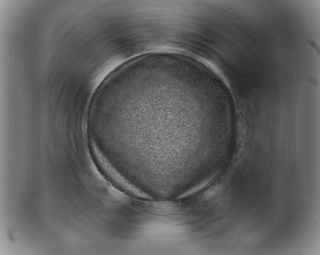 X0000101481007200807211355