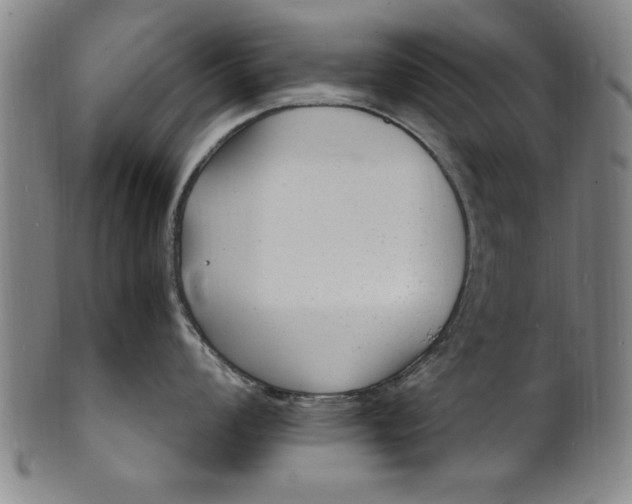 X0000101481008200807211355