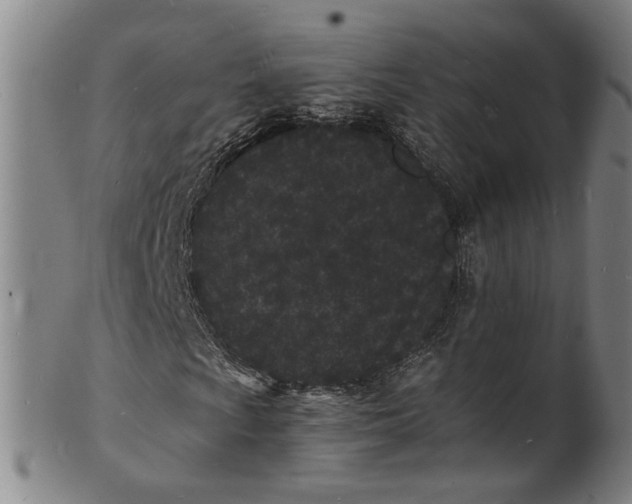 X0000101481009200807211354