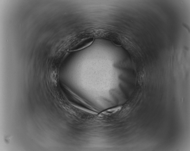 X0000101481010200807211354