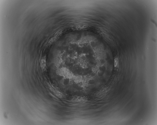 X0000101481011200807211354