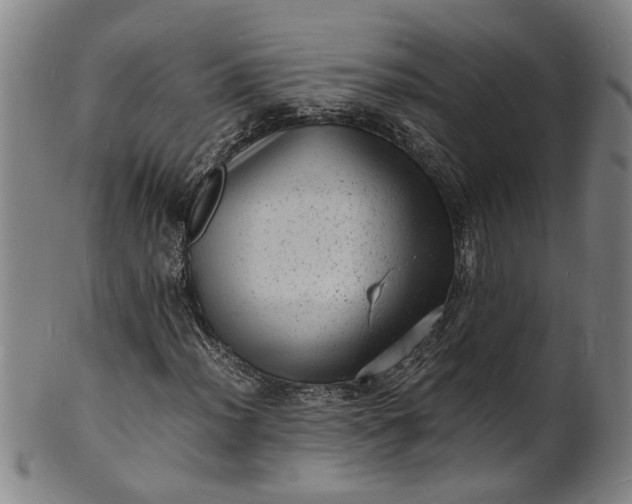 X0000101481012200807211354