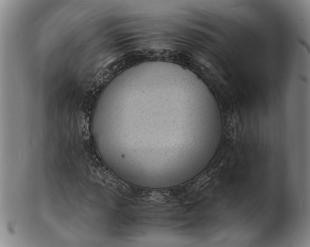 X0000101481013200807211354