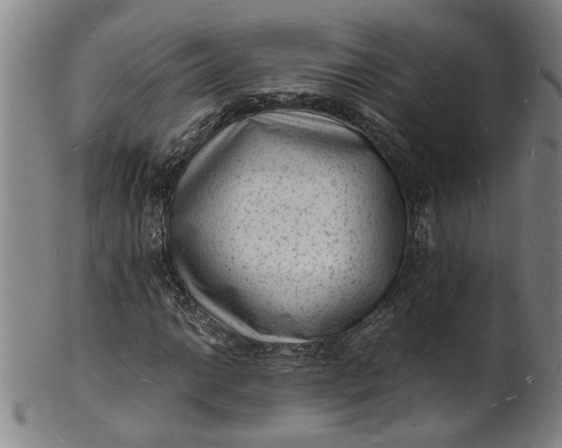 X0000101481014200807211354