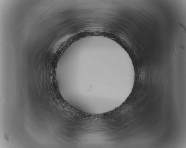 X0000101481016200807211354