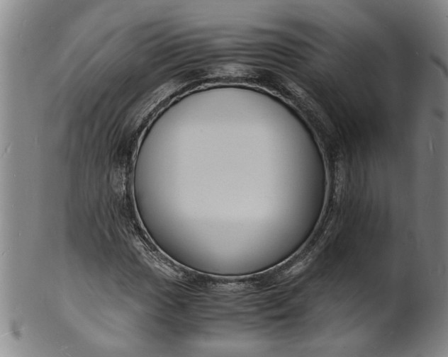 X0000101481017200807211354