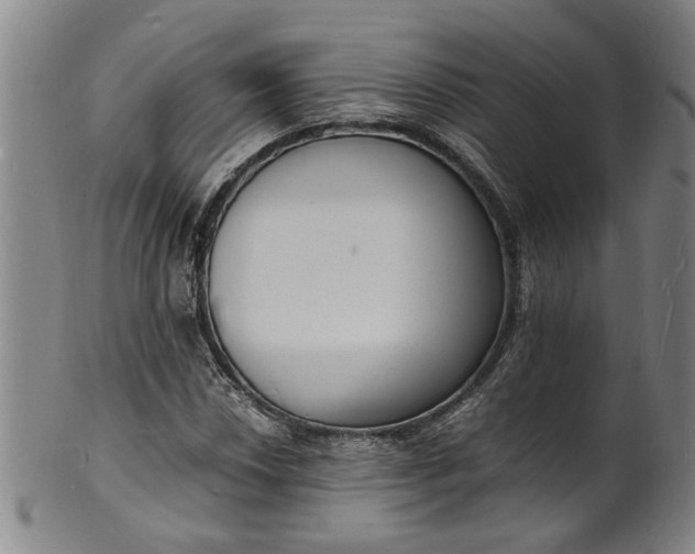 X0000101481018200807211354